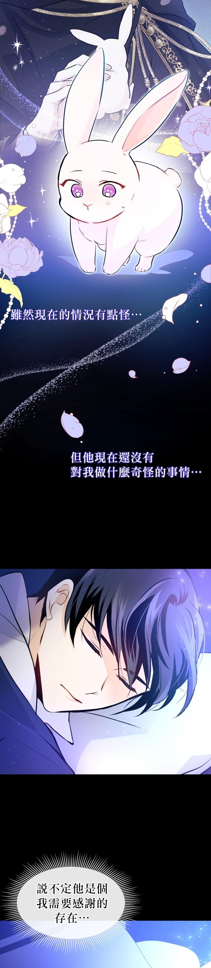 《兔子与黑豹的共生关系》漫画最新章节第2话免费下拉式在线观看章节第【41】张图片