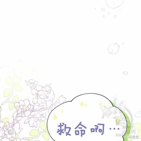 《兔子与黑豹的共生关系》漫画最新章节第34话免费下拉式在线观看章节第【175】张图片