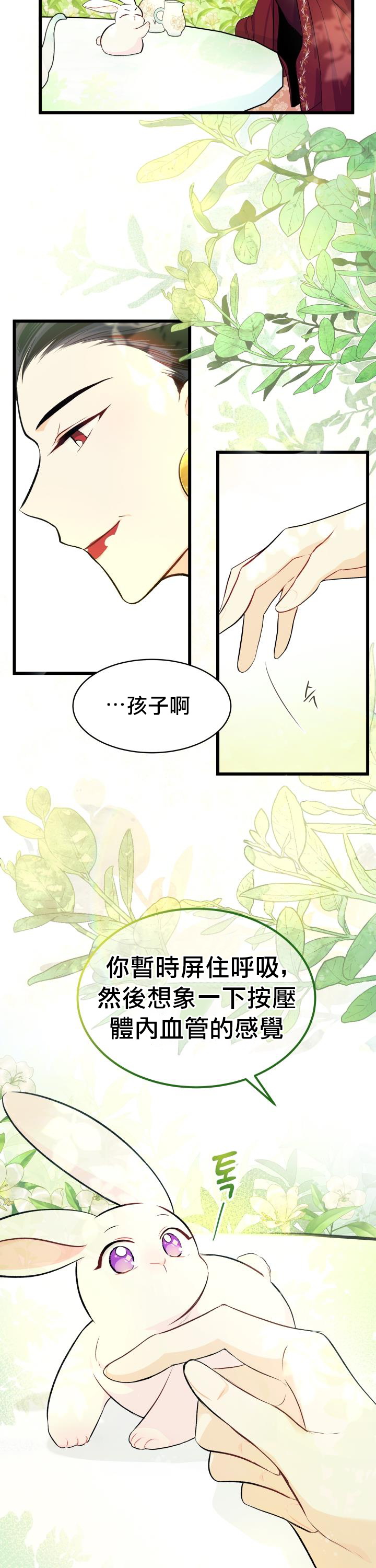 《兔子与黑豹的共生关系》漫画最新章节第6话免费下拉式在线观看章节第【6】张图片