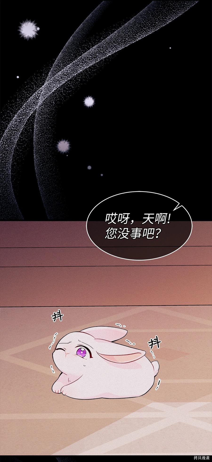 《兔子与黑豹的共生关系》漫画最新章节第39话免费下拉式在线观看章节第【5】张图片