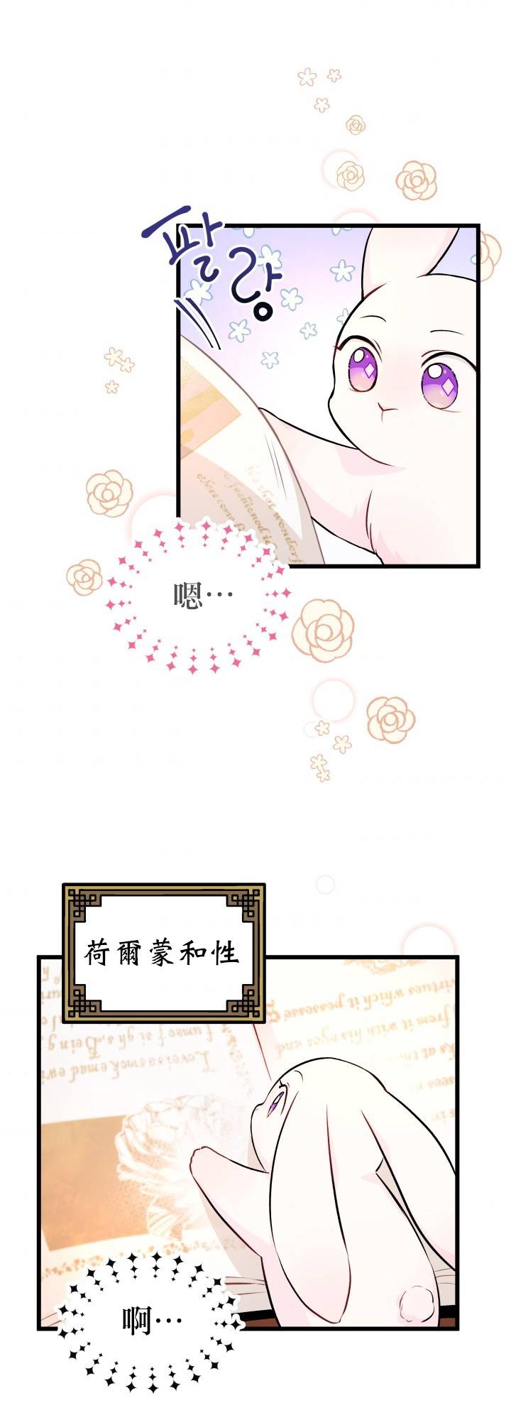 《兔子与黑豹的共生关系》漫画最新章节第8话免费下拉式在线观看章节第【12】张图片