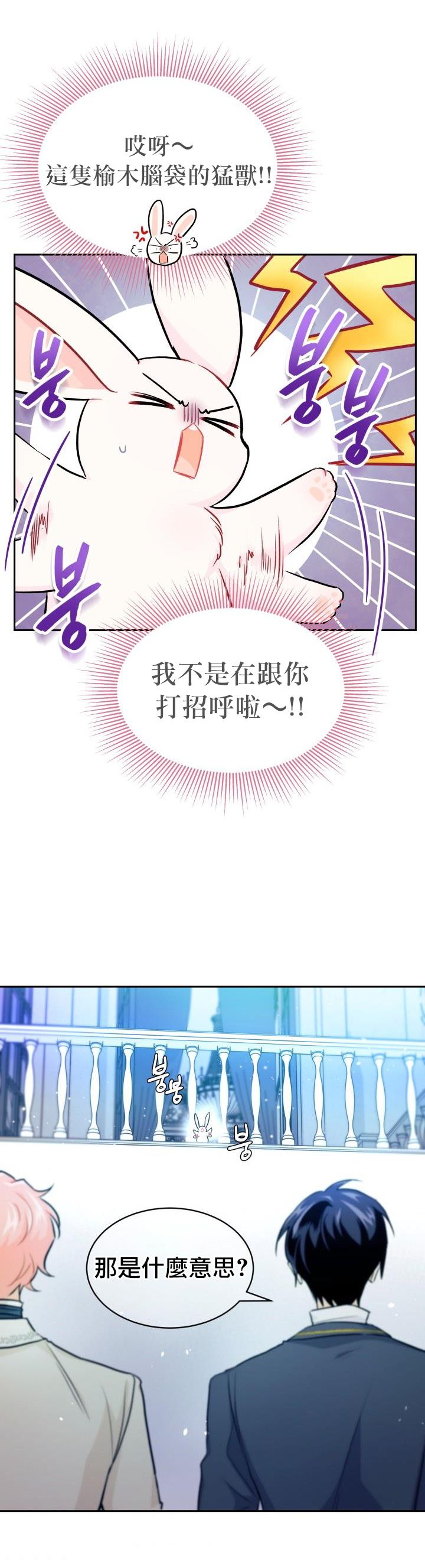 《兔子与黑豹的共生关系》漫画最新章节第14话免费下拉式在线观看章节第【17】张图片