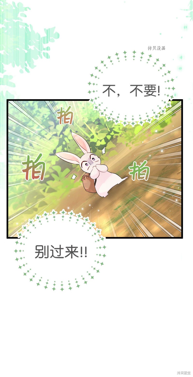 《兔子与黑豹的共生关系》漫画最新章节第61话免费下拉式在线观看章节第【78】张图片