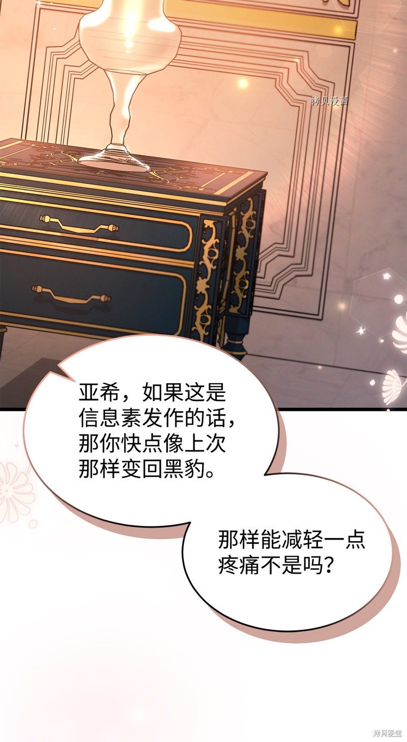 《兔子与黑豹的共生关系》漫画最新章节第71话免费下拉式在线观看章节第【19】张图片