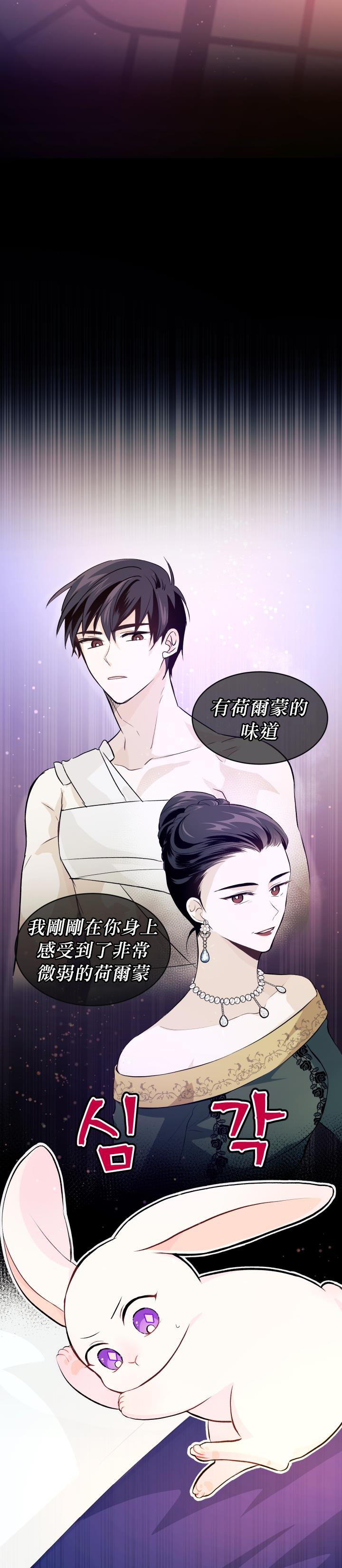 《兔子与黑豹的共生关系》漫画最新章节第5话免费下拉式在线观看章节第【20】张图片