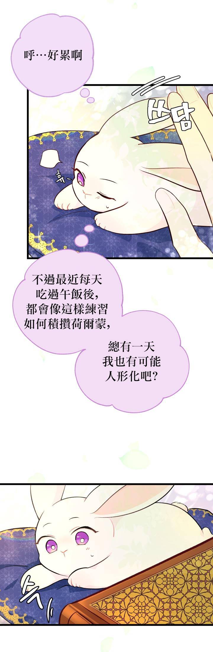 《兔子与黑豹的共生关系》漫画最新章节第8话免费下拉式在线观看章节第【5】张图片