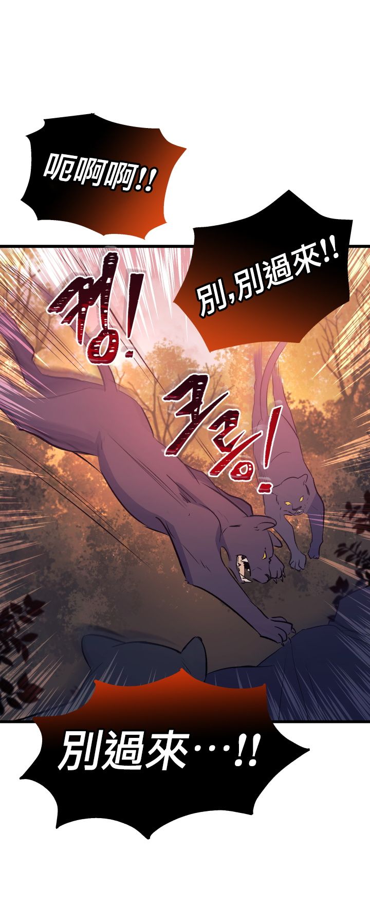 《兔子与黑豹的共生关系》漫画最新章节第12话免费下拉式在线观看章节第【25】张图片