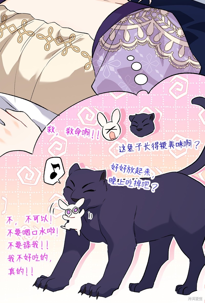 《兔子与黑豹的共生关系》漫画最新章节第89话免费下拉式在线观看章节第【66】张图片