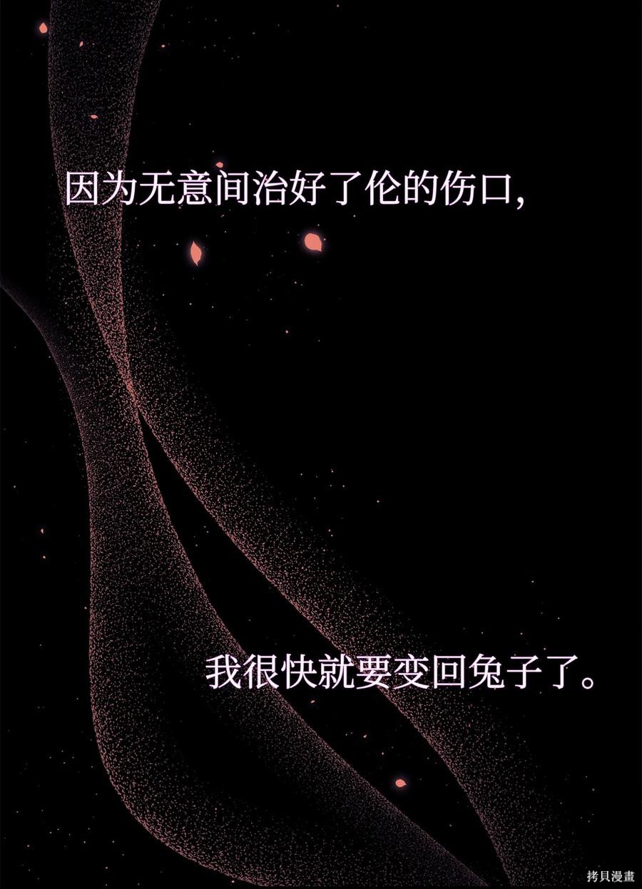 《兔子与黑豹的共生关系》漫画最新章节第44话免费下拉式在线观看章节第【6】张图片