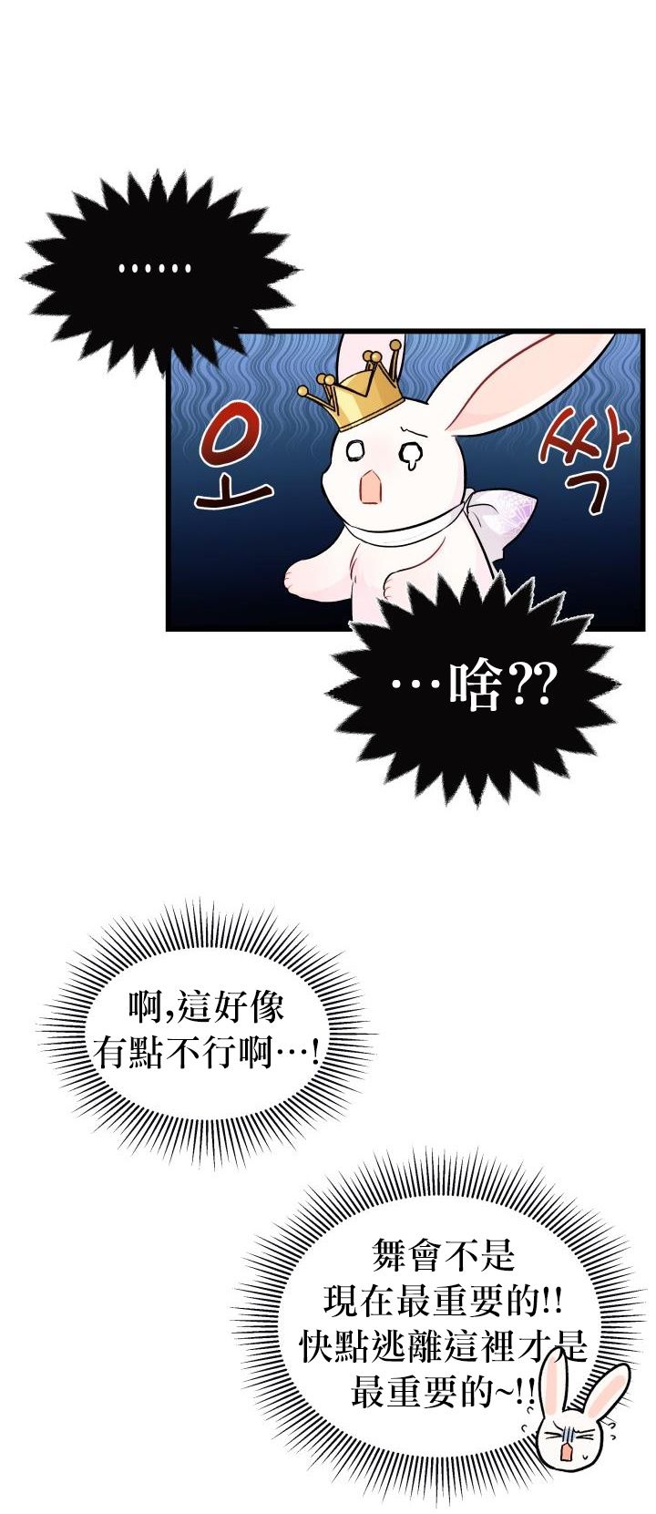 《兔子与黑豹的共生关系》漫画最新章节第17话免费下拉式在线观看章节第【12】张图片