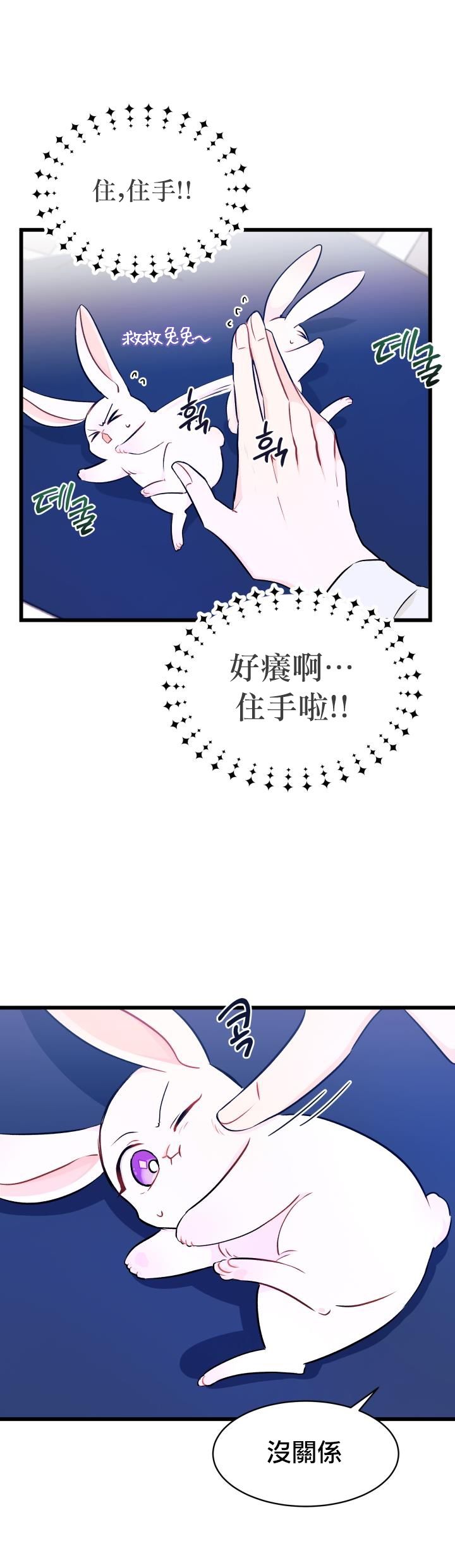 《兔子与黑豹的共生关系》漫画最新章节第10话免费下拉式在线观看章节第【9】张图片