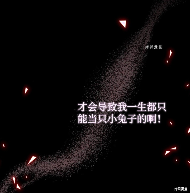 《兔子与黑豹的共生关系》漫画最新章节第67话免费下拉式在线观看章节第【85】张图片