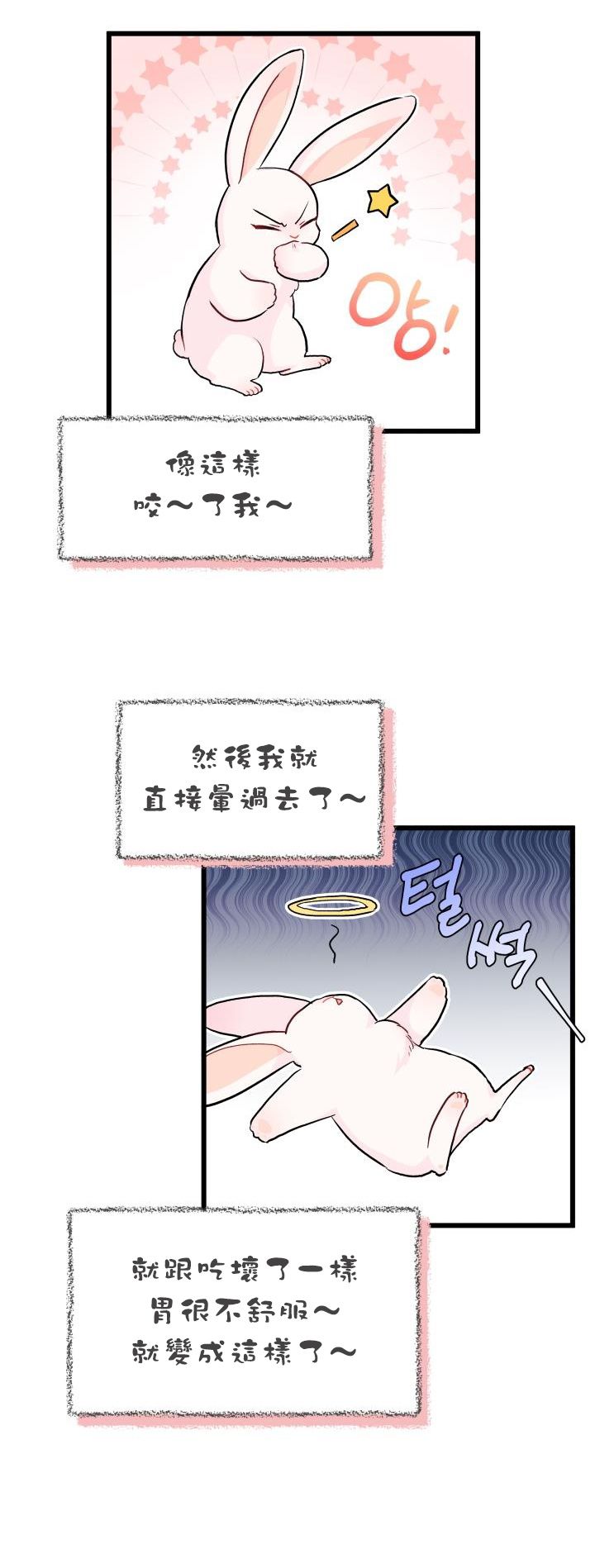 《兔子与黑豹的共生关系》漫画最新章节第11话免费下拉式在线观看章节第【25】张图片