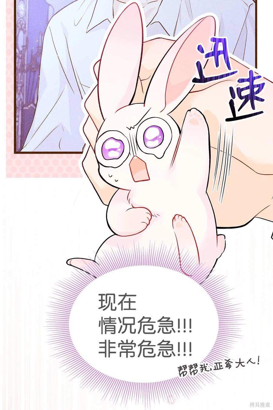 《兔子与黑豹的共生关系》漫画最新章节第35话免费下拉式在线观看章节第【62】张图片