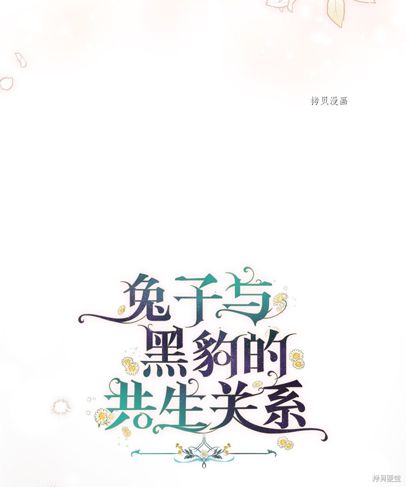 《兔子与黑豹的共生关系》漫画最新章节第68话免费下拉式在线观看章节第【19】张图片