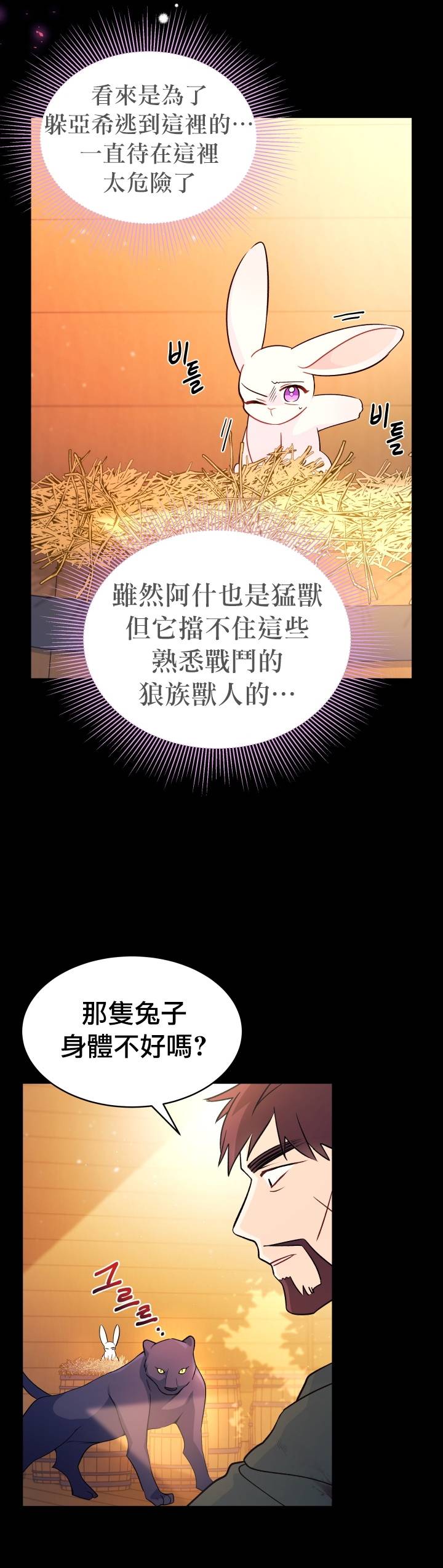 《兔子与黑豹的共生关系》漫画最新章节第28话免费下拉式在线观看章节第【13】张图片