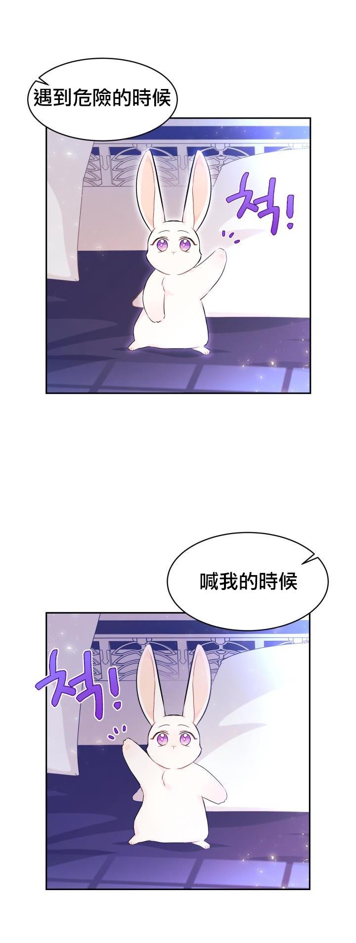 《兔子与黑豹的共生关系》漫画最新章节第16话免费下拉式在线观看章节第【9】张图片