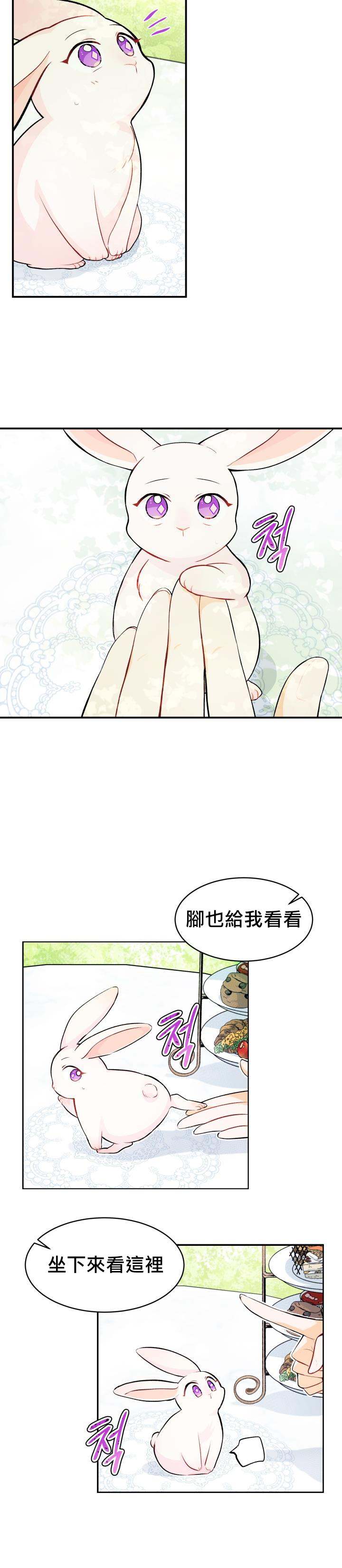 《兔子与黑豹的共生关系》漫画最新章节第5话免费下拉式在线观看章节第【8】张图片