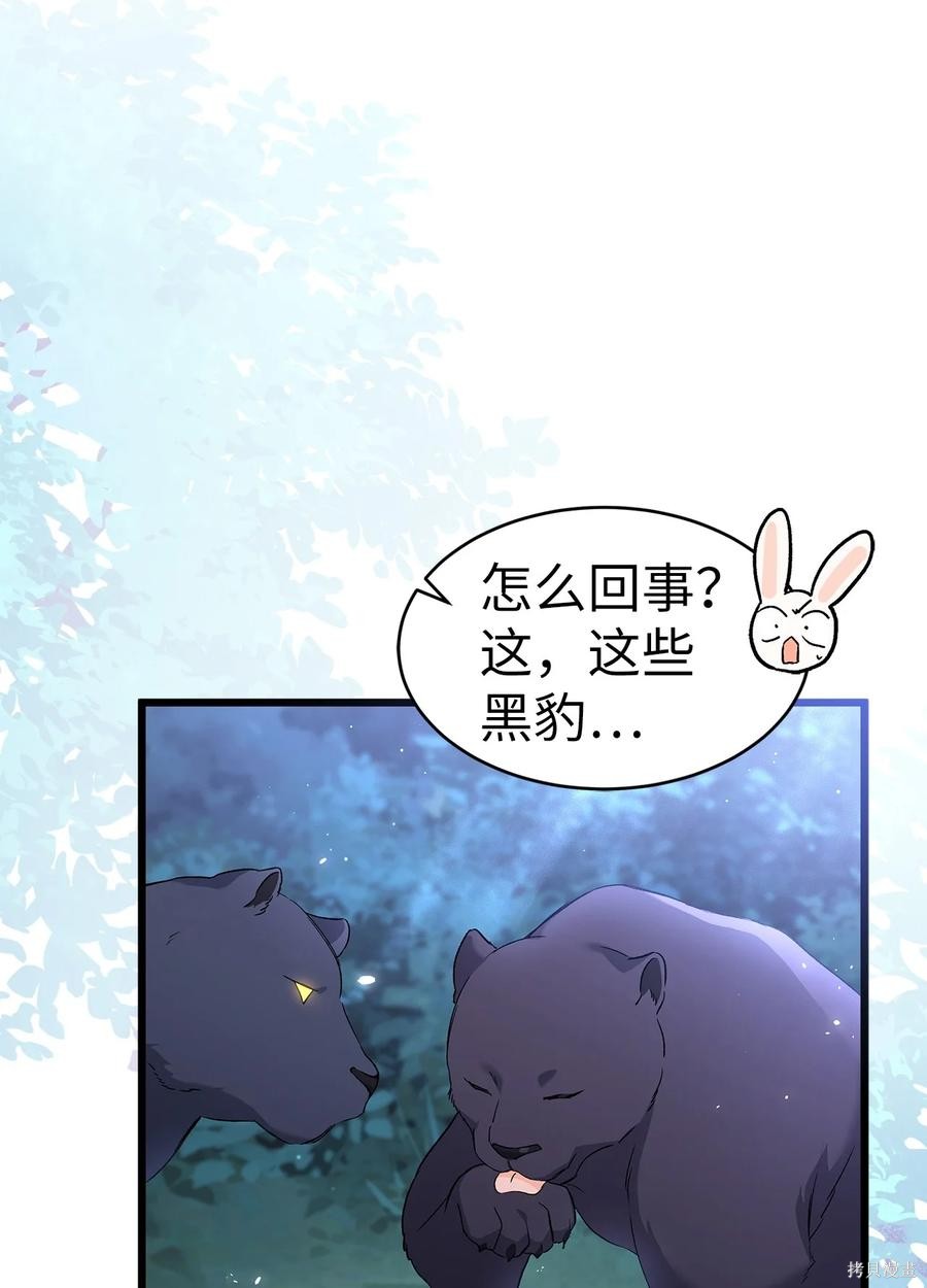 《兔子与黑豹的共生关系》漫画最新章节第51话免费下拉式在线观看章节第【18】张图片