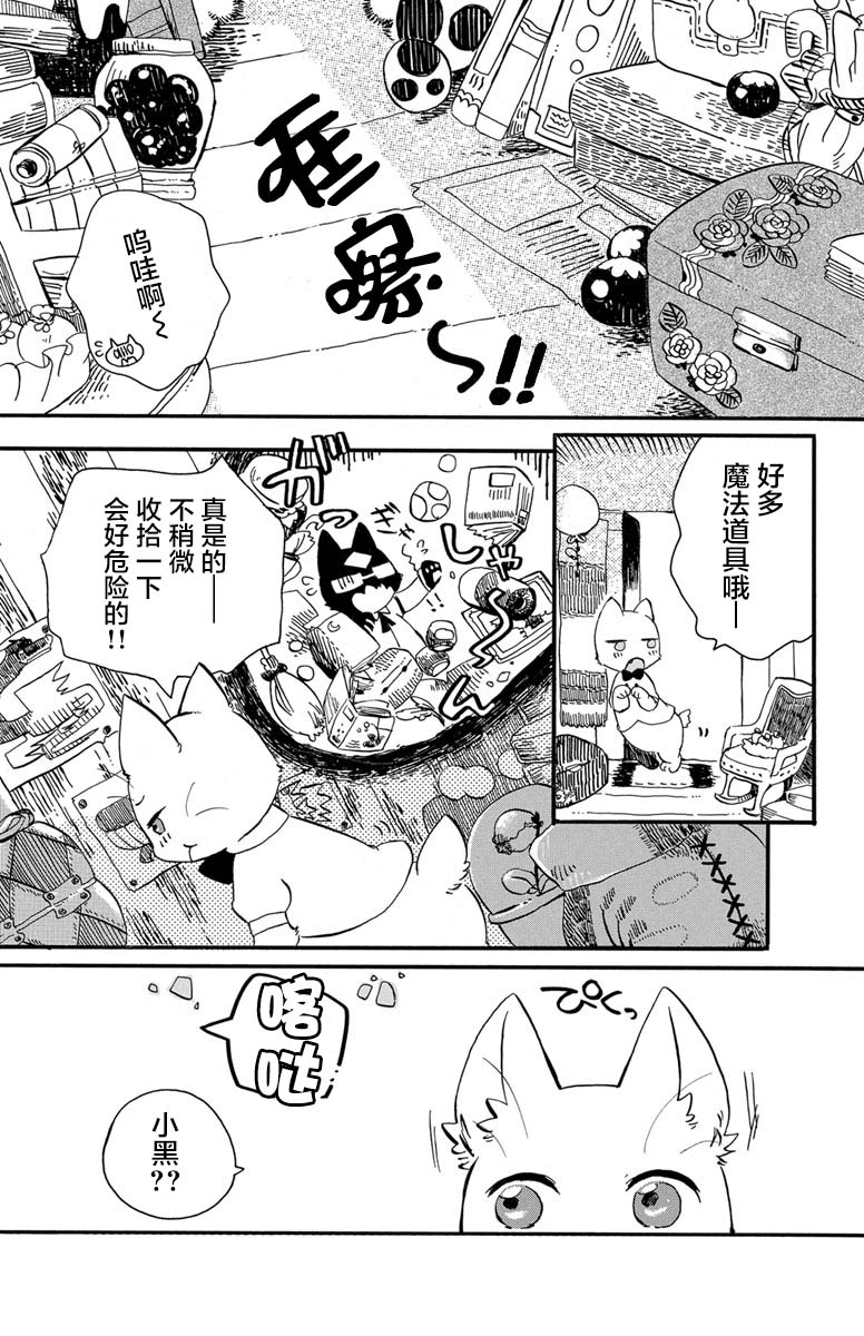 《黑白猫咪幻想曲》漫画最新章节第1.3话免费下拉式在线观看章节第【5】张图片