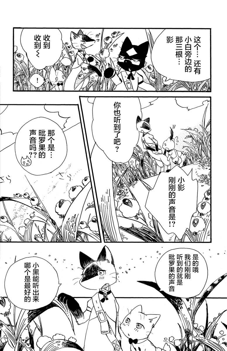 《黑白猫咪幻想曲》漫画最新章节第1话免费下拉式在线观看章节第【13】张图片