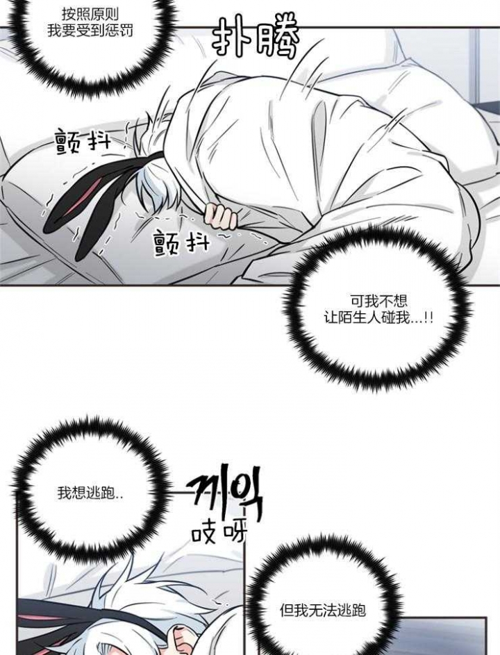 《天使兔俱乐部》漫画最新章节第41话免费下拉式在线观看章节第【17】张图片