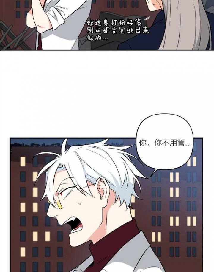 《天使兔俱乐部》漫画最新章节第69话免费下拉式在线观看章节第【6】张图片