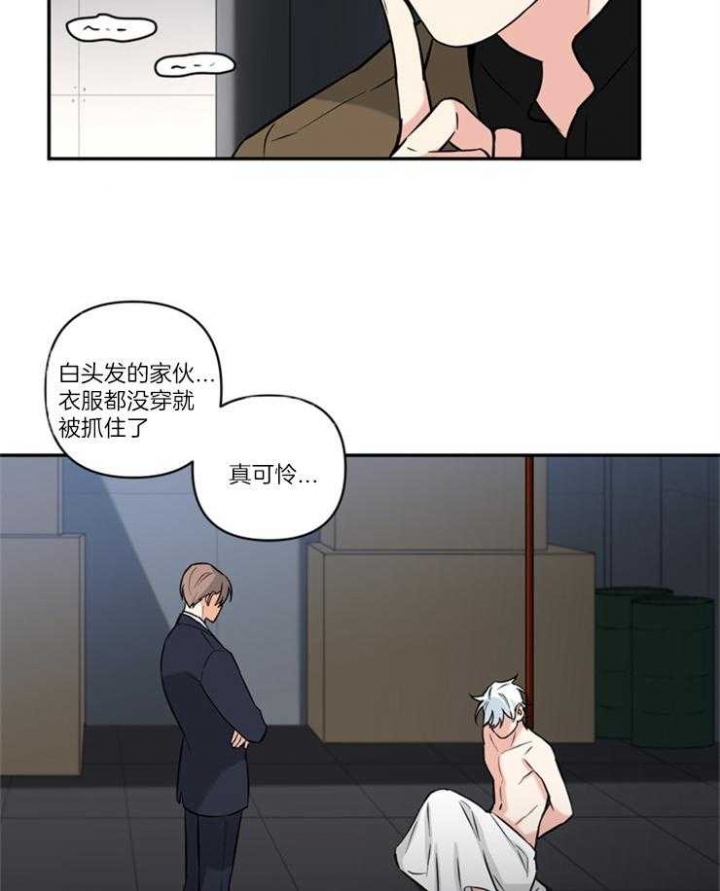 《天使兔俱乐部》漫画最新章节第63话免费下拉式在线观看章节第【5】张图片