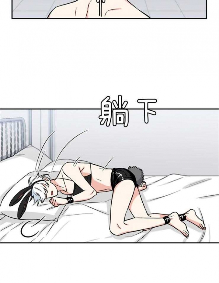 《天使兔俱乐部》漫画最新章节第41话免费下拉式在线观看章节第【3】张图片