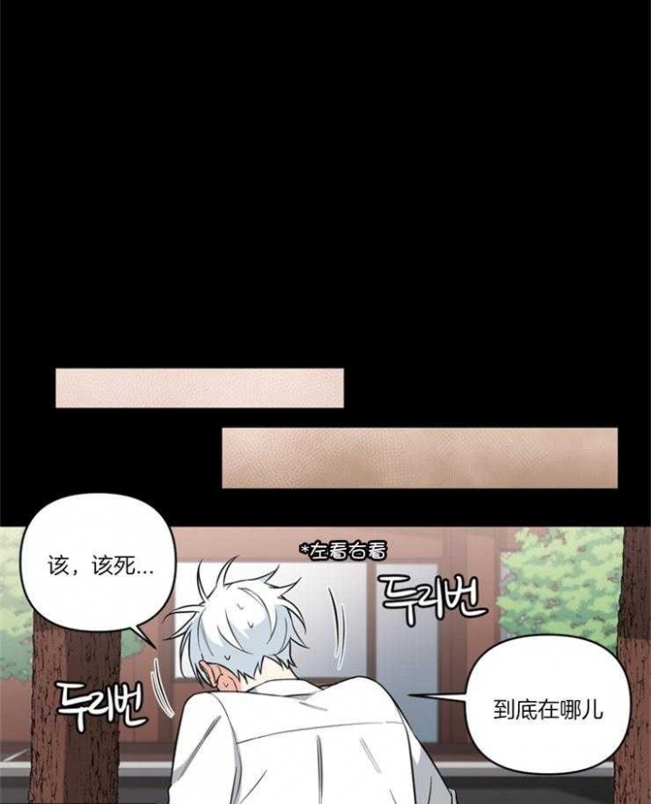 《天使兔俱乐部》漫画最新章节第78话免费下拉式在线观看章节第【19】张图片