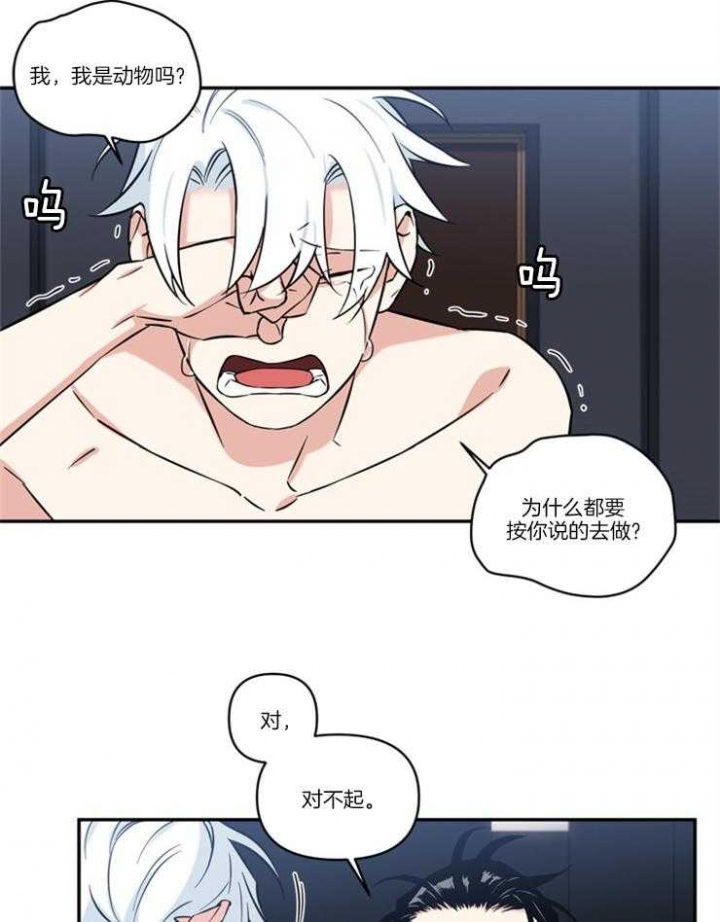 《天使兔俱乐部》漫画最新章节第29话免费下拉式在线观看章节第【14】张图片