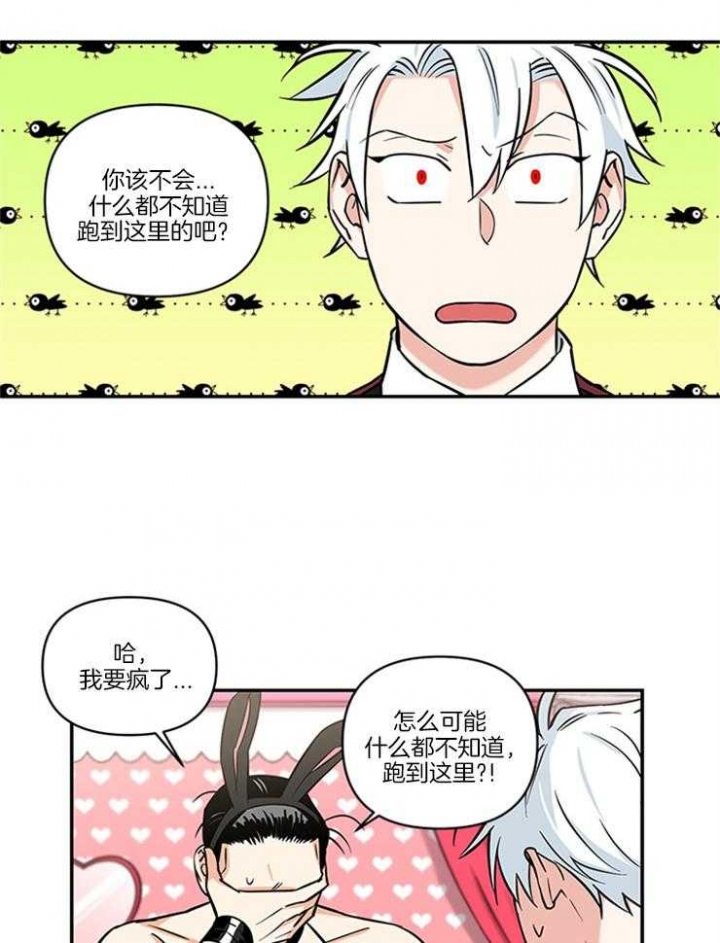 《天使兔俱乐部》漫画最新章节第16话免费下拉式在线观看章节第【5】张图片