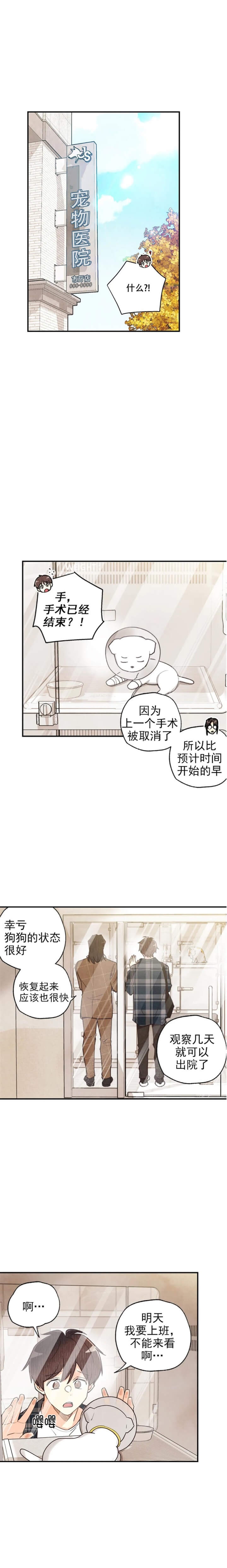 《偏偏》漫画最新章节第122话免费下拉式在线观看章节第【5】张图片