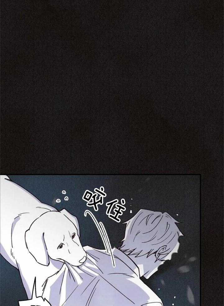 《偏偏》漫画最新章节第161话免费下拉式在线观看章节第【38】张图片