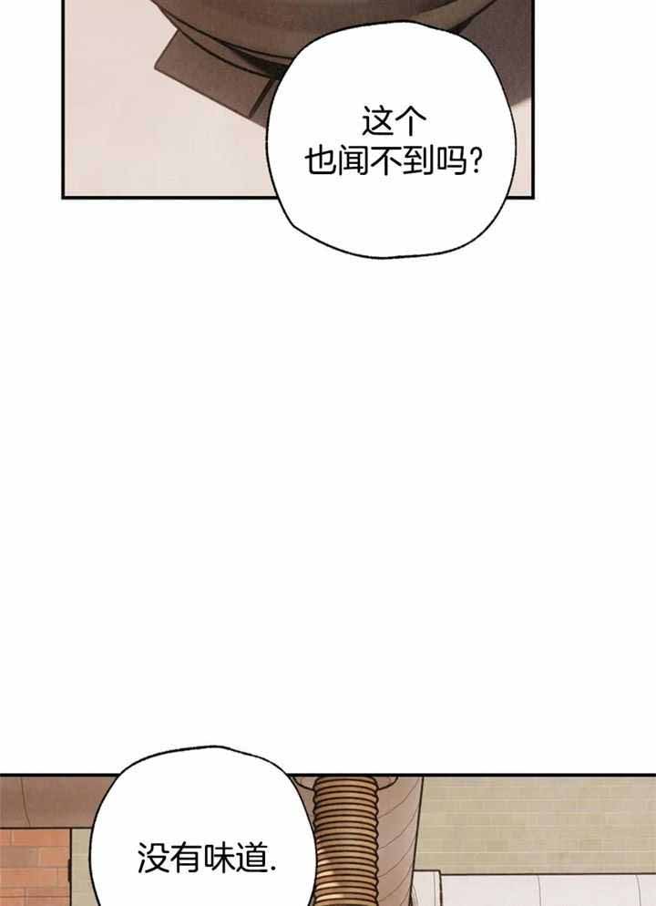 《偏偏》漫画最新章节第163话免费下拉式在线观看章节第【5】张图片