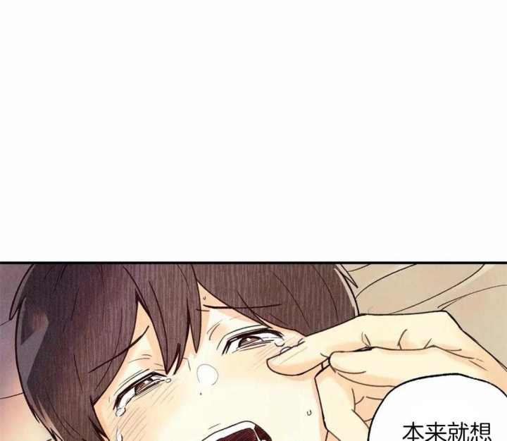 《偏偏》漫画最新章节第59话免费下拉式在线观看章节第【37】张图片