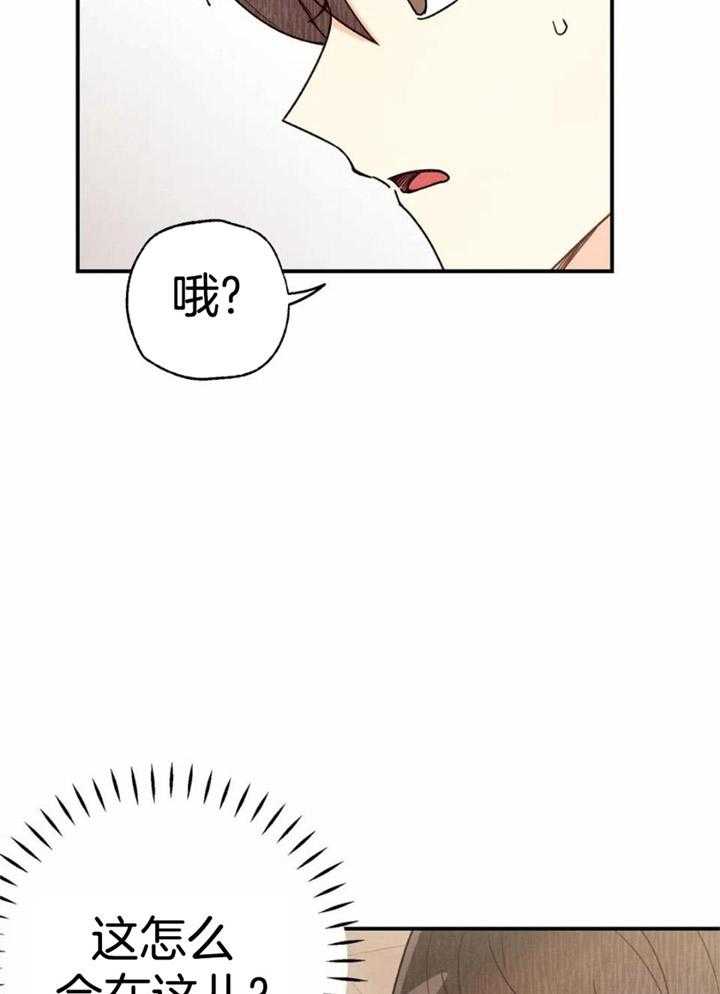 《偏偏》漫画最新章节第163话免费下拉式在线观看章节第【33】张图片