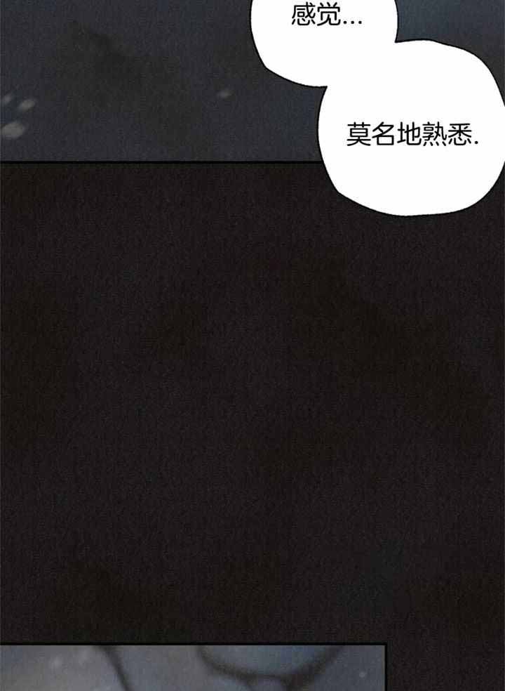 《偏偏》漫画最新章节第161话免费下拉式在线观看章节第【13】张图片