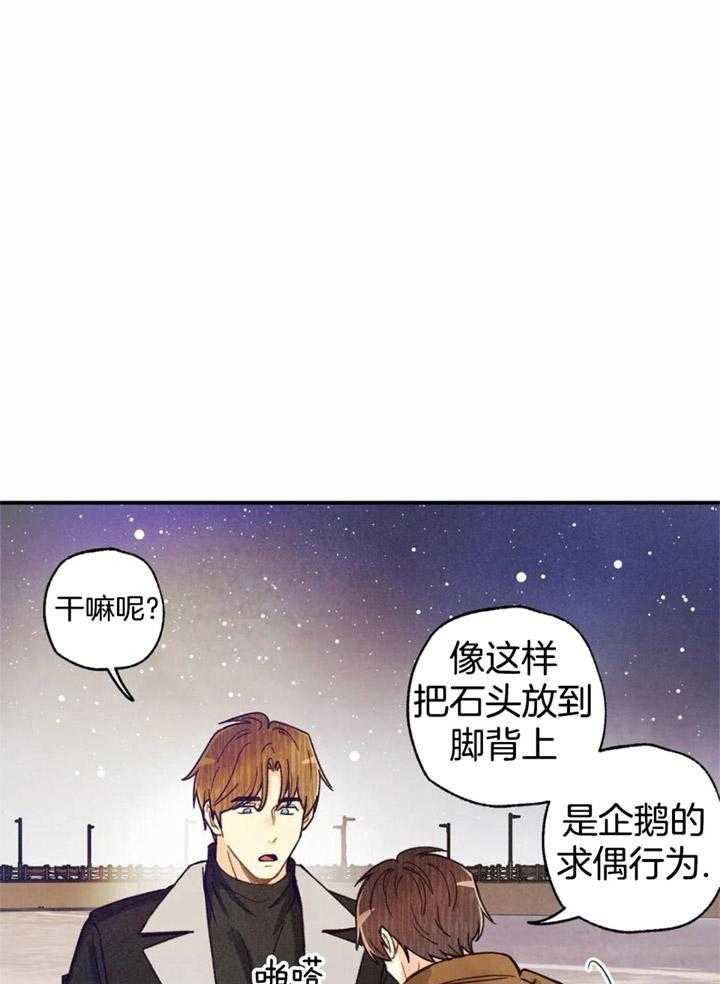 《偏偏》漫画最新章节第155话免费下拉式在线观看章节第【27】张图片