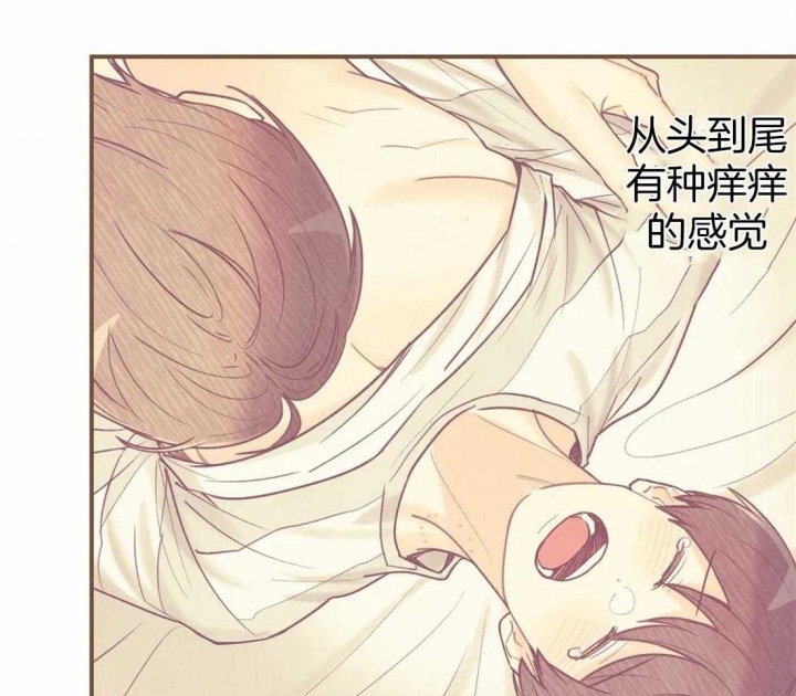 《偏偏》漫画最新章节第62话免费下拉式在线观看章节第【24】张图片