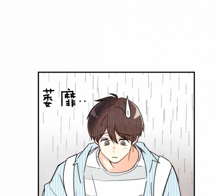 《偏偏》漫画最新章节第49话免费下拉式在线观看章节第【20】张图片