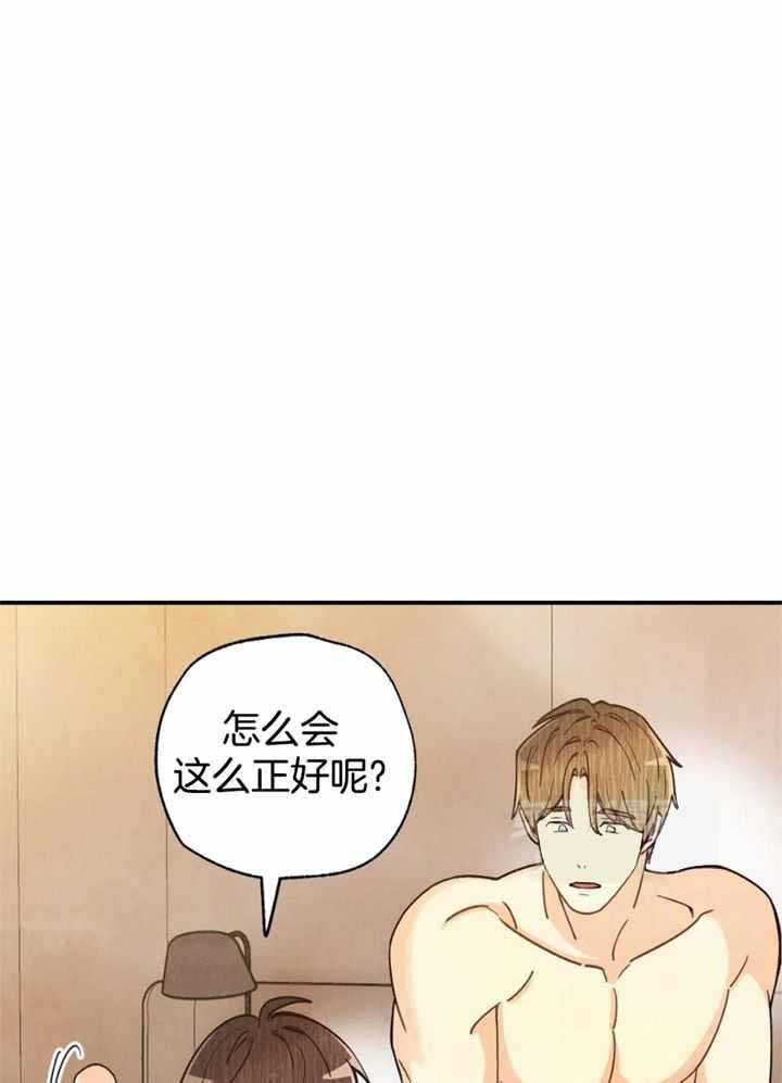 《偏偏》漫画最新章节第157话免费下拉式在线观看章节第【19】张图片