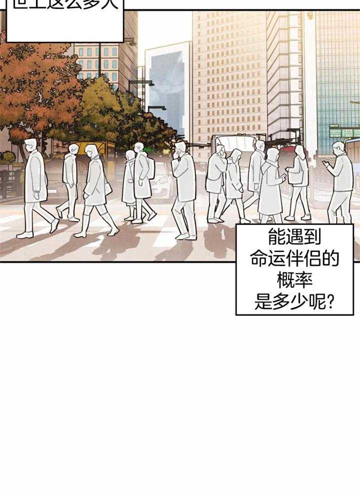 《偏偏》漫画最新章节第162话免费下拉式在线观看章节第【31】张图片