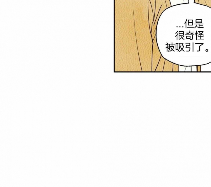 《偏偏》漫画最新章节第46话免费下拉式在线观看章节第【21】张图片