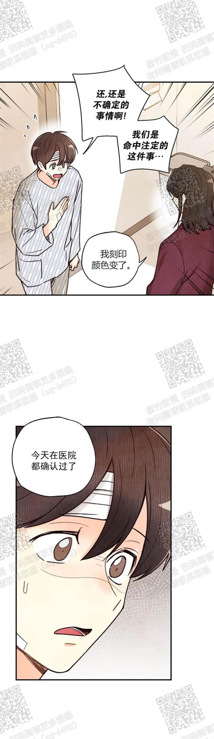 《偏偏》漫画最新章节第95话免费下拉式在线观看章节第【18】张图片