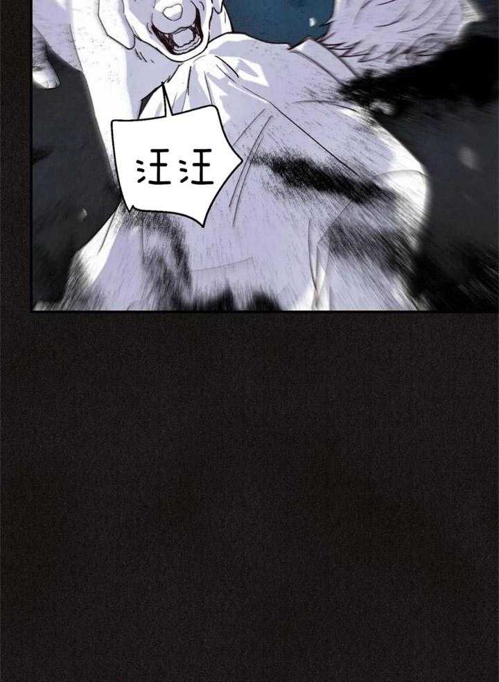 《偏偏》漫画最新章节第161话免费下拉式在线观看章节第【40】张图片