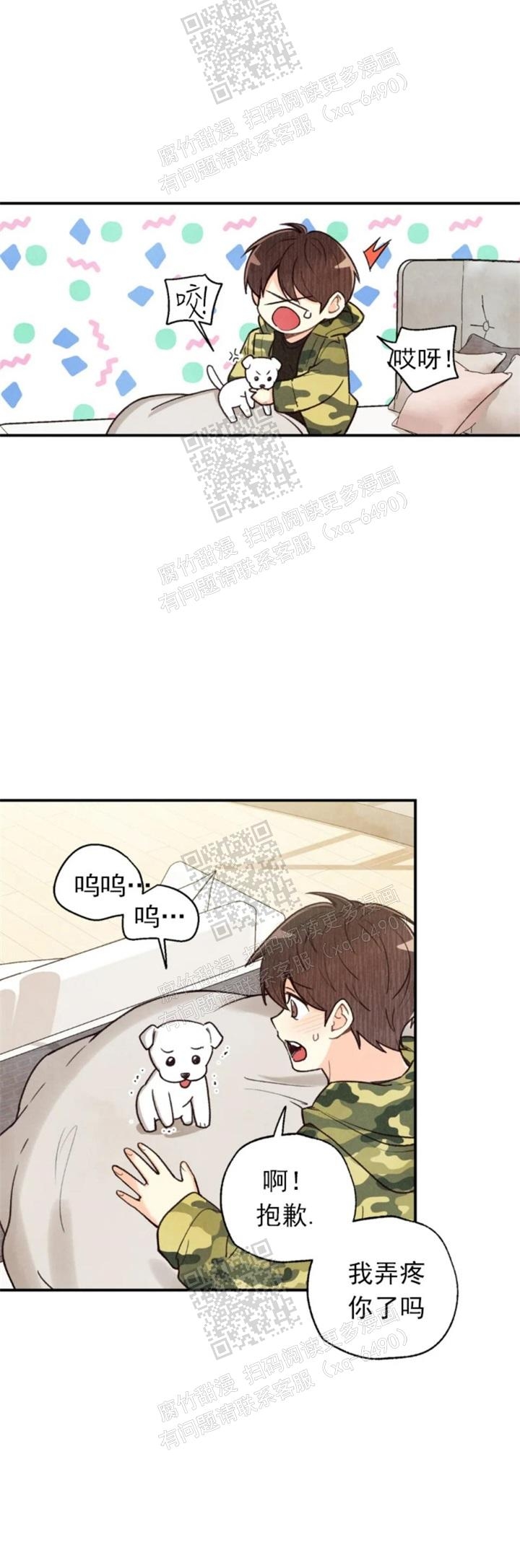 《偏偏》漫画最新章节第116话免费下拉式在线观看章节第【3】张图片