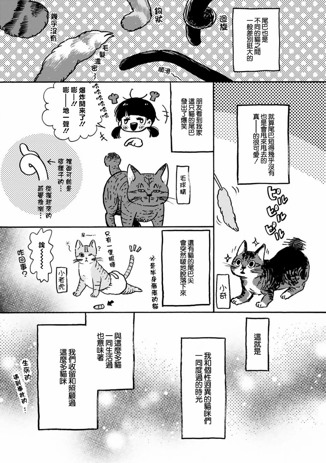 《全世猫》漫画最新章节第9话免费下拉式在线观看章节第【8】张图片