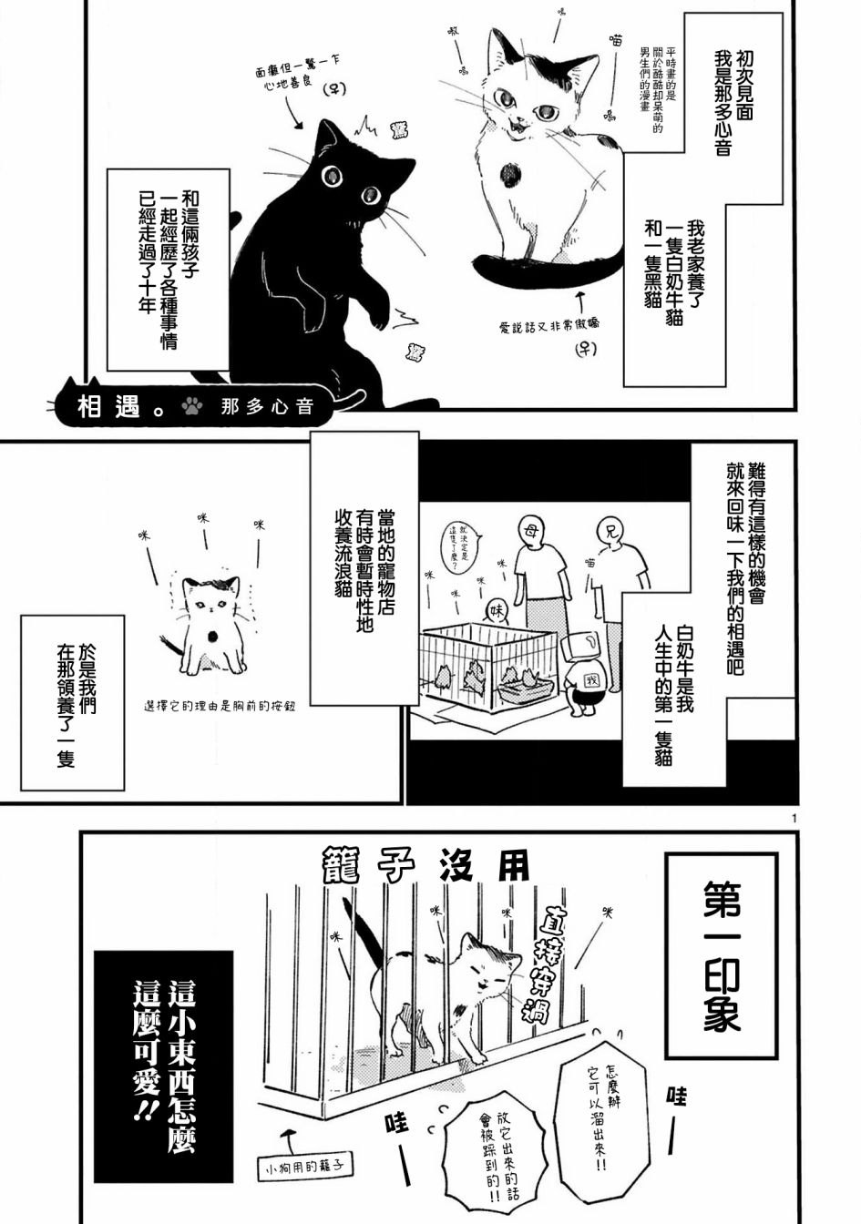 《全世猫》漫画最新章节第11话免费下拉式在线观看章节第【1】张图片