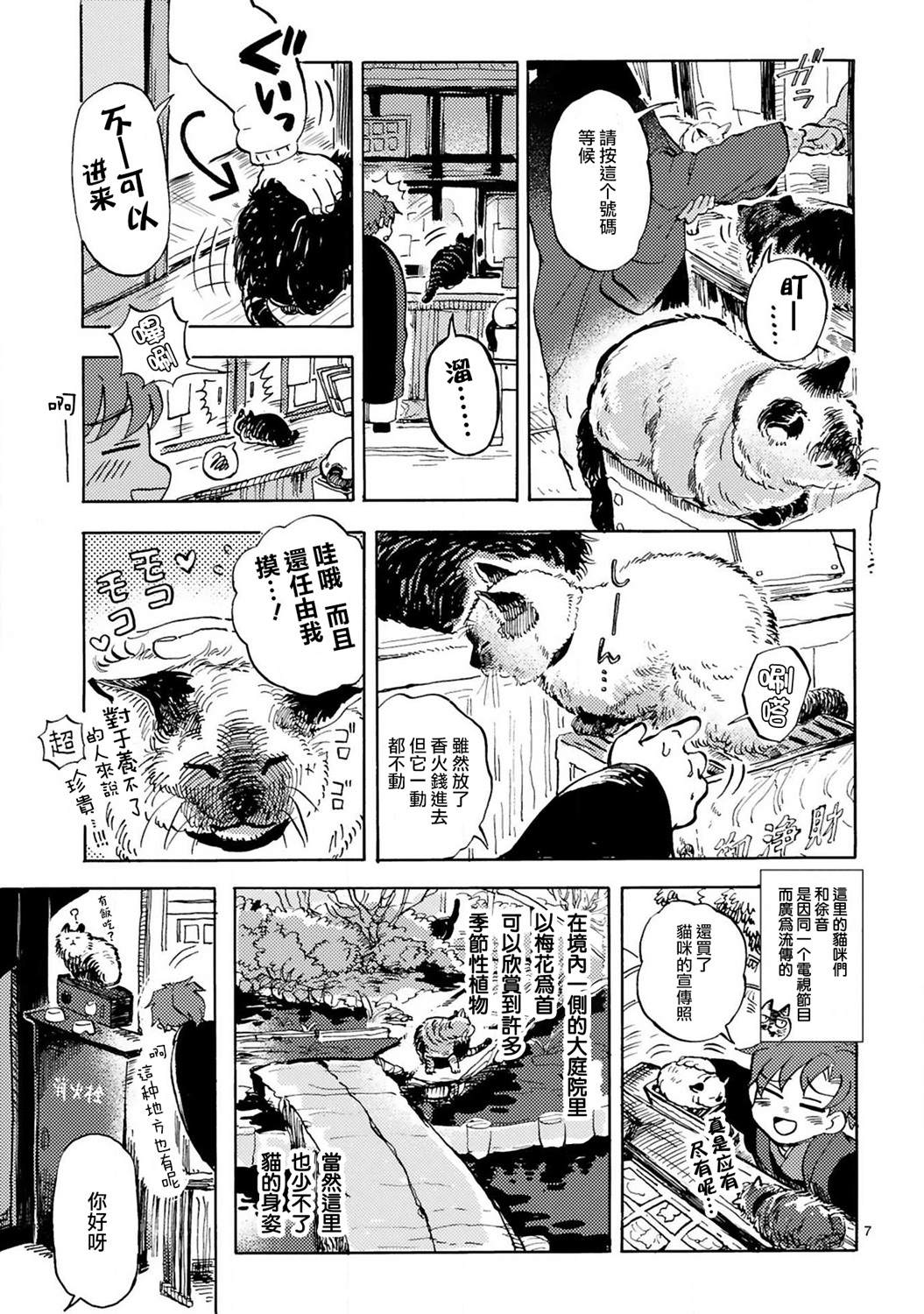 《全世猫》漫画最新章节第6话免费下拉式在线观看章节第【8】张图片